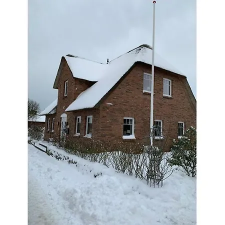Reetstern Comfortable Utersum